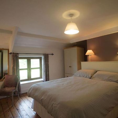 Perfect Cottage Retreat Near The Brecon Beacons Llanwrda Buitenkant foto