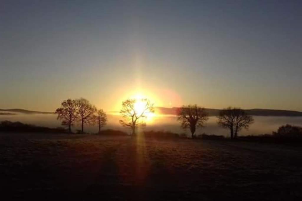 Perfect Cottage Retreat Near The Brecon Beacons Llanwrda Buitenkant foto