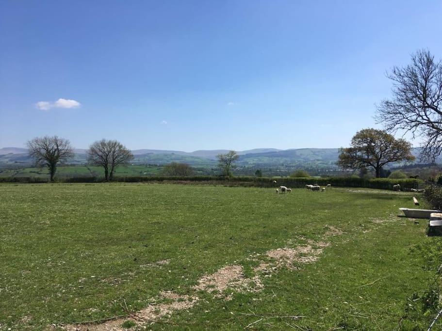 Perfect Cottage Retreat Near The Brecon Beacons Llanwrda Buitenkant foto