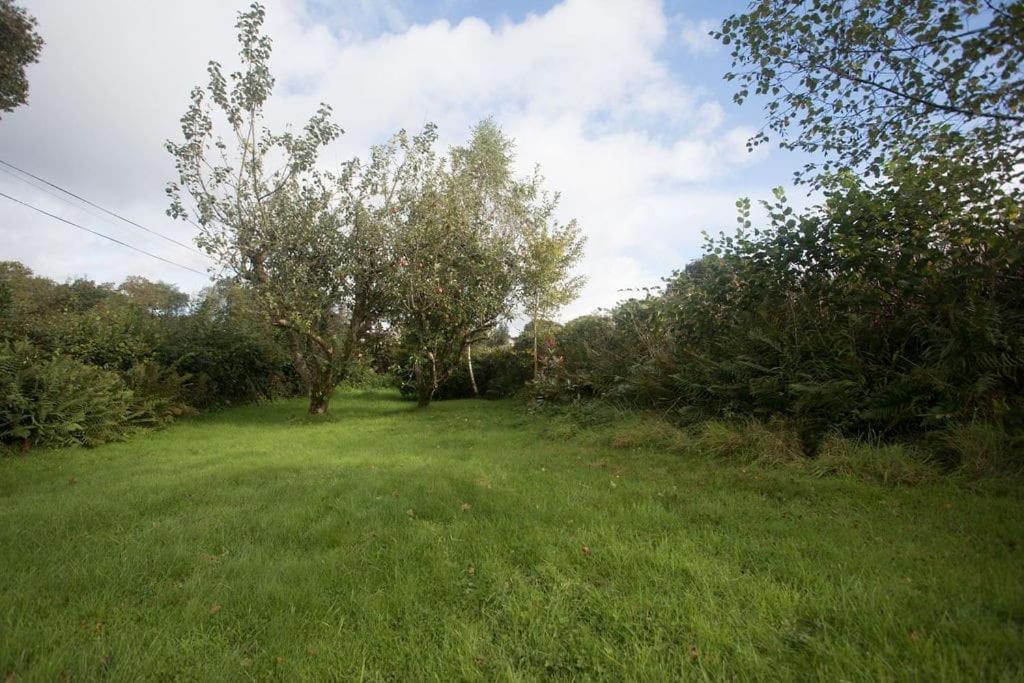 Perfect Cottage Retreat Near The Brecon Beacons Llanwrda Buitenkant foto